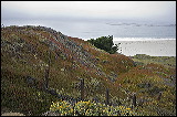 bigsur_7691