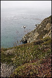 bigsur_7705