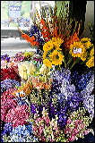 flowerstand_7369