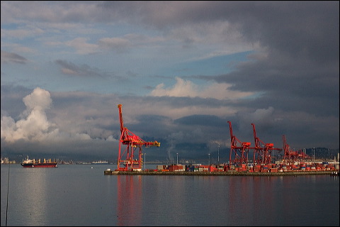 harborcranes_1136.jpg