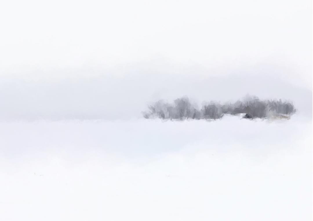 Snow Fog