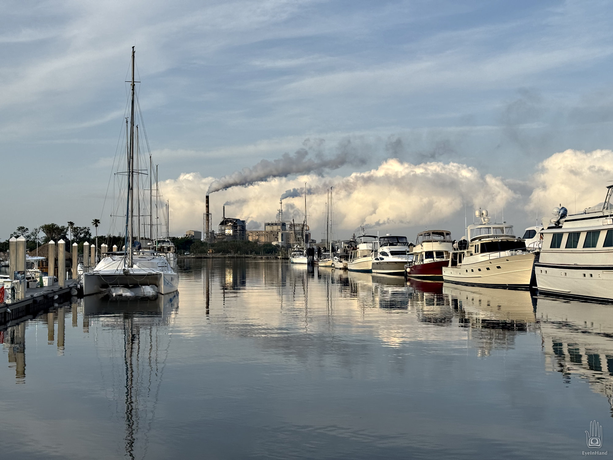 Sea Islands 300 : 11-Amelia Island Questing