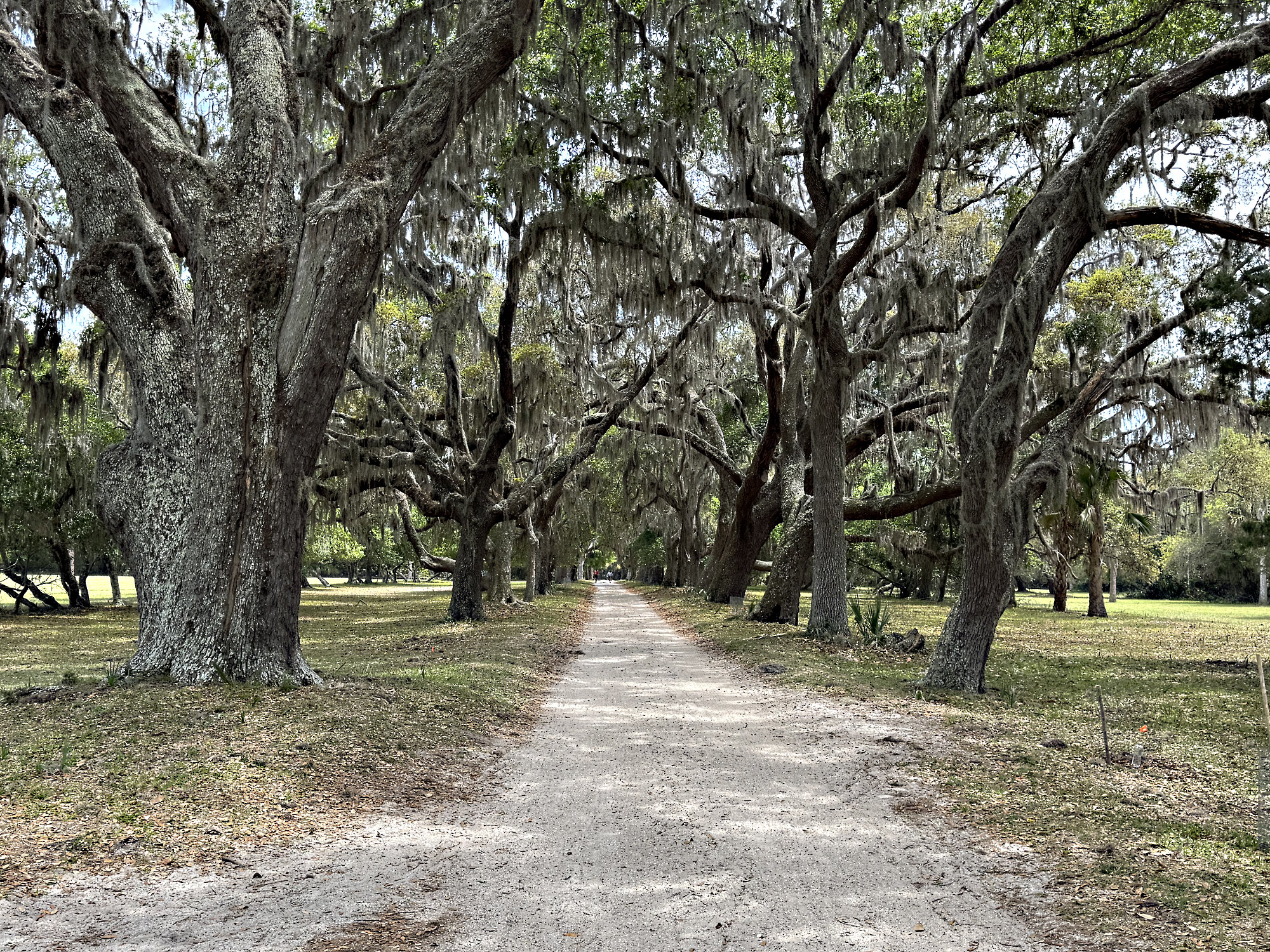 Sea Islands 300 : 12-Leaving Florida for Cumberland Island