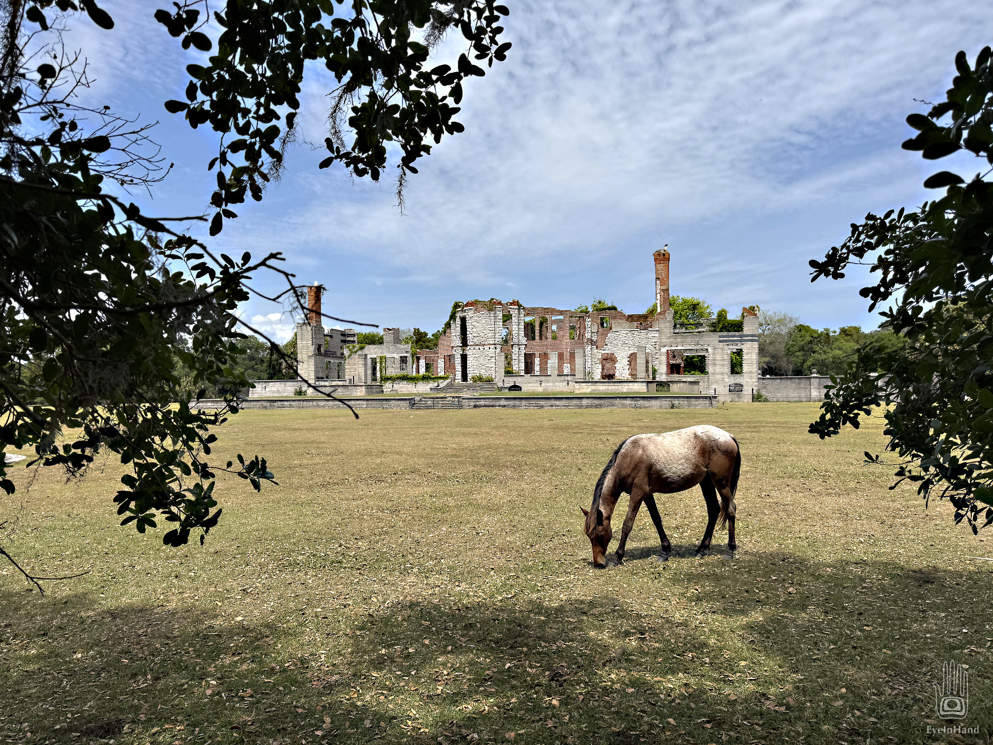 Sea Islands 300 : 13-Cumberland Island South